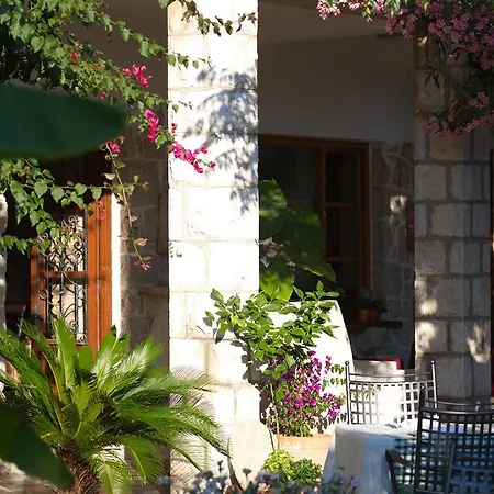 Hotel Barbat 3*