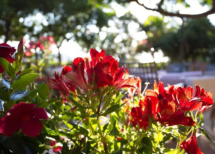 Barbat Barbat na Rabu