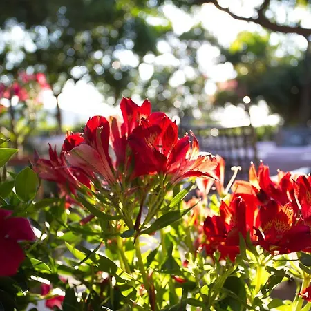 Barbat Barbat na Rabu